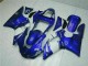 Blau R1 00-01 Verkleidung