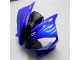 Blau Schwarz R6 06-07 VollVerkleidungen & Plastik