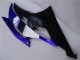 Blau Schwarz R6 08-16 Verkleidungen