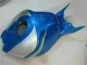 Blau Silber CBR 1000 RR 06-07 Verkleidungen Blau Silber CBR 1000 RR 06-07 Verkleidungen