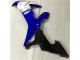 Blau Weiß R1 02-03 Vollverkleidung Blau Weiß R1 02-03 Vollverkleidung
