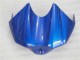 Blau Weiß R1 04-06 Verkleidung