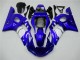 Blau Weiß R6 98-02 Verkleidung Blau Weiß R6 98-02 Verkleidung