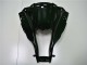 Glänzend Schwarz ZX10R 11-15 Verkleidungen