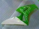 Grün CBR 1000 RR 06-07 Verkleidungen Grün CBR 1000 RR 06-07 Verkleidungen