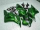 Grün CBR 600 RR 09-12 Verkleidungen Grün CBR 600 RR 09-12 Verkleidungen