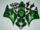 Grün CBR 600 RR 09-12 Verkleidungen Grün CBR 600 RR 09-12 Verkleidungen