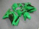 Grün EX250 08-12 Verkleidung Grün EX250 08-12 Verkleidung
