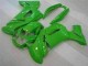 Grün EX650 06-08 Verkleidung Grün EX650 06-08 Verkleidung