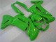 Grün EX650 06-08 Verkleidung Grün EX650 06-08 Verkleidung
