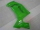 Grün EX650 06-08 Verkleidung Grün EX650 06-08 Verkleidung