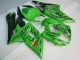 Grün GSXR 1000 K5 05-06 Verkleidungen Grün GSXR 1000 K5 05-06 Verkleidungen