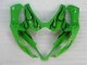 Grün GSXR 1000 K5 05-06 Verkleidungen Grün GSXR 1000 K5 05-06 Verkleidungen