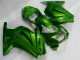 Grün Ninja EX250 08-12 Verkleidung Grün Ninja EX250 08-12 Verkleidung