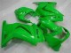 Grün Ninja EX250 08-12 Verkleidungen Grün Ninja EX250 08-12 Verkleidungen