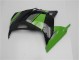Grün Schwarz EX300 13-16 Verkleidung Grün Schwarz EX300 13-16 Verkleidung