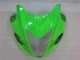 Grün Schwarz GSXR 1300 Hayabusa 08-19 Verkleidungen Grün Schwarz GSXR 1300 Hayabusa 08-19 Verkleidungen