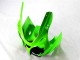Grün Schwarz Weiß ZX6R 00-02 Verkleidung