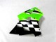 Grün Schwarz Weiß ZX6R 00-02 Verkleidung
