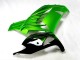Grün Schwarz ZX14R ZZR 1400 12-21 Verkleidungen Grün Schwarz ZX14R ZZR 1400 12-21 Verkleidungen