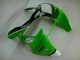 Grün Schwarz ZX6R 00-02 Motorrad Verkleidungen