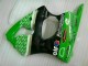 Grün Schwarz ZX6R 00-02 Verkleidung
