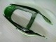 Grün Schwarz ZX6R 00-02 Verkleidung