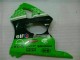 Grün Schwarz ZX6R 00-02 Verkleidungen & Plastik