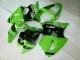 Grün Schwarz ZX6R 00-02 Vollverkleidung