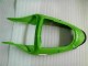 Grün Schwarz ZX6R 00-02 Vollverkleidung