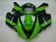 Grün Schwarz ZX6R 05-06 Verkleidungen Grün Schwarz ZX6R 05-06 Verkleidungen
