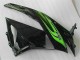 Grün Schwarz ZX6R 09-12 Verkleidung Grün Schwarz ZX6R 09-12 Verkleidung