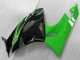 Grün Schwarz ZX6R 09-12 Verkleidung Grün Schwarz ZX6R 09-12 Verkleidung