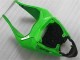 Grün Schwarz ZX6R 09-12 Verkleidung Grün Schwarz ZX6R 09-12 Verkleidung