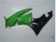 Grün Schwarz ZX6R 09-12 Vollverkleidung Grün Schwarz ZX6R 09-12 Vollverkleidung