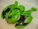 Grün Schwarzer Dunlop ZX6R 07-08 Verkleidungen Grün Schwarzer Dunlop ZX6R 07-08 Verkleidungen