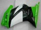 Grün Schwarzer Ninja EX250 08-12 Vollverkleidung Grün Schwarzer Ninja EX250 08-12 Vollverkleidung