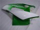 Grün Weiß CBR 1000 RR 04-05 Verkleidungen Grün Weiß CBR 1000 RR 04-05 Verkleidungen