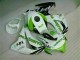 Grün Weiß CBR 1000 RR 08-11 Verkleidungen Grün Weiß CBR 1000 RR 08-11 Verkleidungen