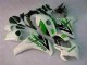 Grün Weiß CBR 1000 RR 08-11 Vollverkleidung Grün Weiß CBR 1000 RR 08-11 Vollverkleidung