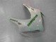 Grün Weiß CBR 1000 RR 08-11 Vollverkleidung Grün Weiß CBR 1000 RR 08-11 Vollverkleidung