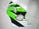 Grün Weiß Schwarz ZX6R 00-02 Verkleidungen