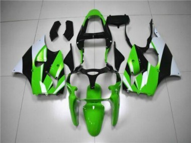 Grün Weiß Schwarz ZX6R 00-02 Verkleidungen