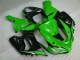 Grün Weiß Schwarz ZX6R 05-06 Verkleidungen Grün Weiß Schwarz ZX6R 05-06 Verkleidungen