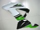 Grün Weiß Schwarz ZX6R 13-18 Verkleidungen