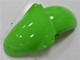 Grün ZX6R 00-02 Verkleidungen