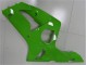 Grün ZX6R 03-04 Verkleidung Grün ZX6R 03-04 Verkleidung