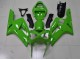 Grün ZX6R 03-04 Verkleidung Grün ZX6R 03-04 Verkleidung
