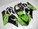 Grün ZX6R 05-06 Verkleidungen