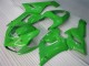 Grün ZX6R 05-06 Verkleidungen & Plastik Grün ZX6R 05-06 Verkleidungen & Plastik